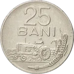 Vorderseite der 25 Bani-Münze